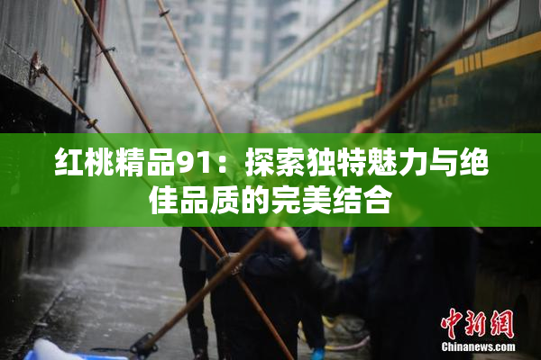 红桃精品91：探索独特魅力与绝佳品质的完美结合