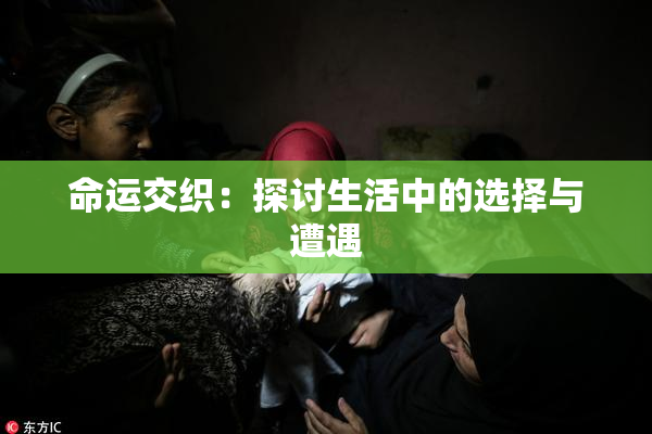 命运交织：探讨生活中的选择与遭遇