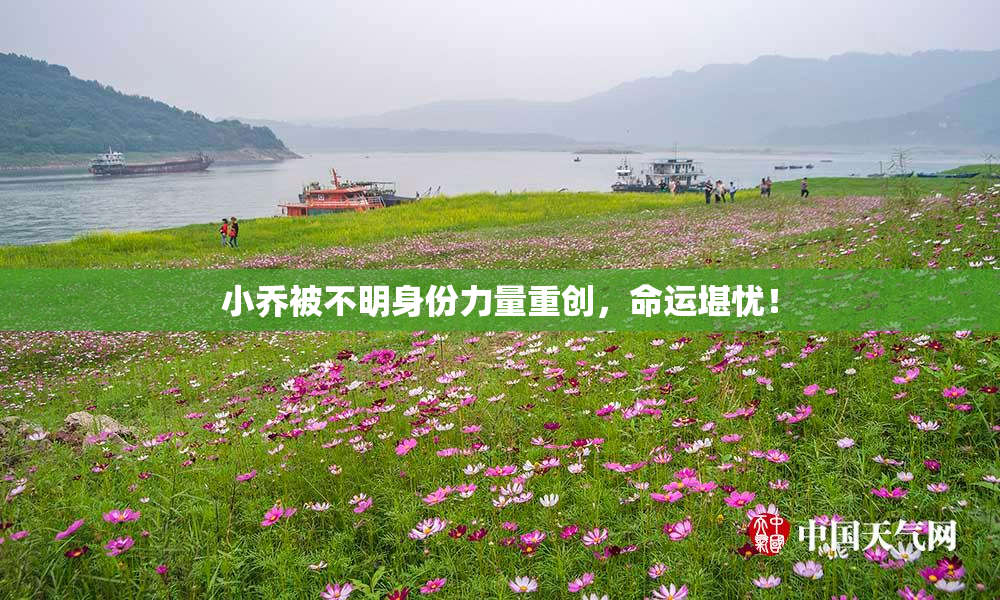 小乔被不明身份力量重创，命运堪忧！