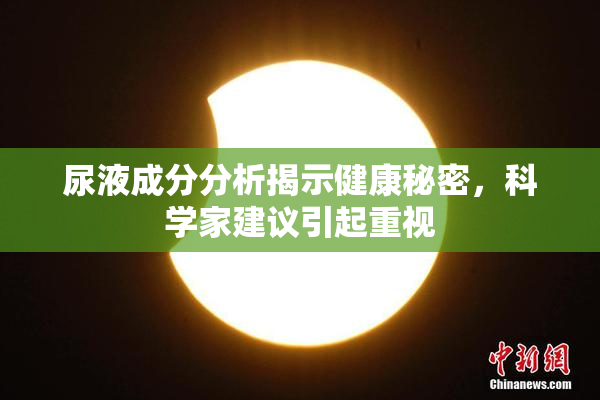 尿液成分分析揭示健康秘密，科学家建议引起重视