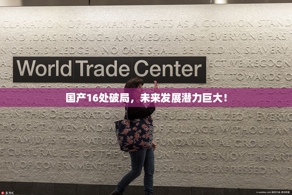国产16处破局，未来发展潜力巨大！