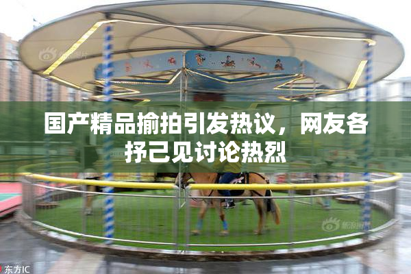 国产精品揄拍引发热议，网友各抒己见讨论热烈
