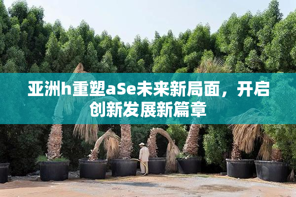 亚洲h重塑aSe未来新局面，开启创新发展新篇章