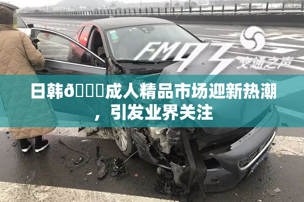 日韩🔞成人精品市场迎新热潮，引发业界关注