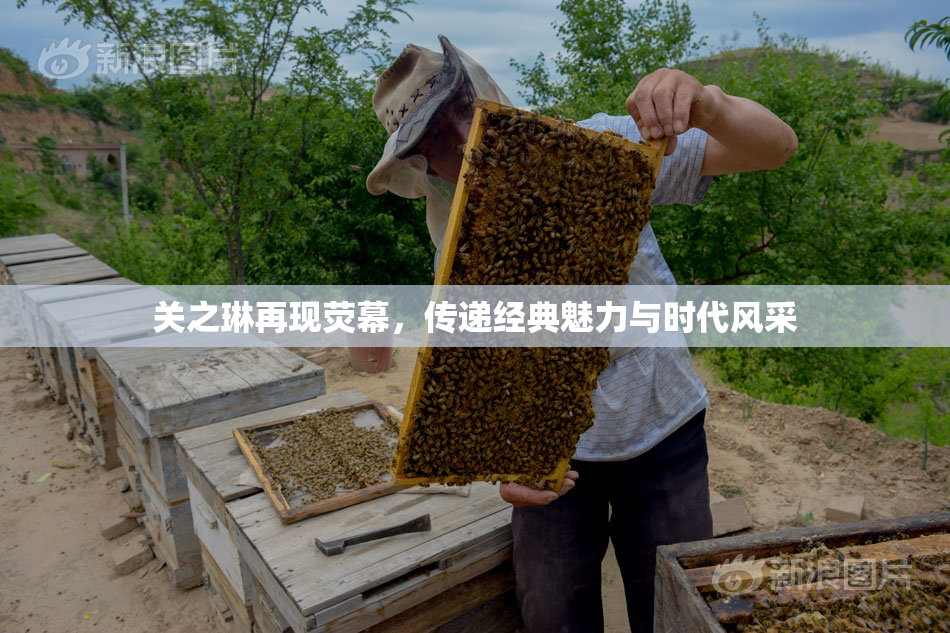 关之琳再现荧幕，传递经典魅力与时代风采