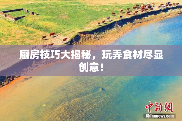 厨房技巧大揭秘，玩弄食材尽显创意！