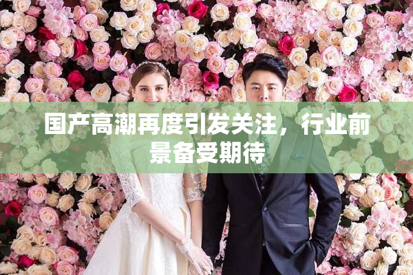 国产高潮再度引发关注，行业前景备受期待