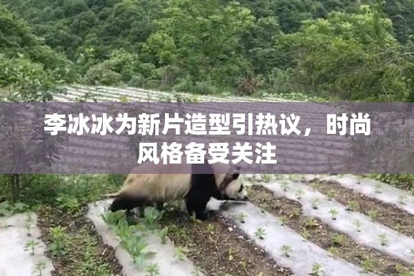 李冰冰为新片造型引热议，时尚风格备受关注