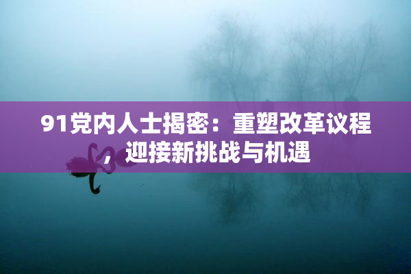 91党内人士揭密：重塑改革议程，迎接新挑战与机遇