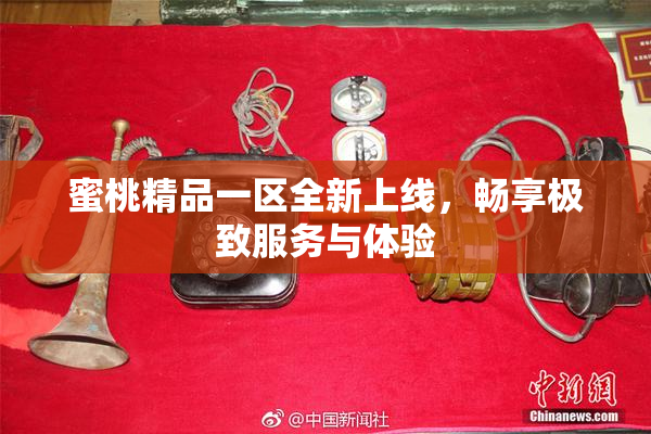 蜜桃精品一区全新上线，畅享极致服务与体验