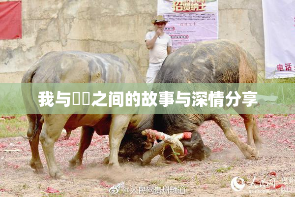 我与妺妺之间的故事与深情分享