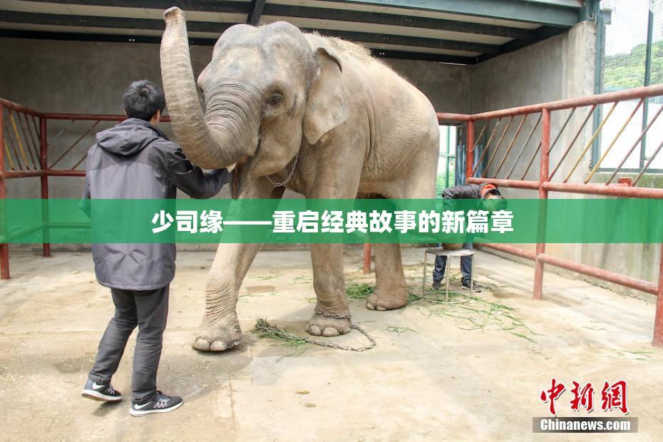 少司缘——重启经典故事的新篇章