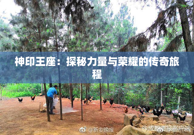 神印王座：探秘力量与荣耀的传奇旅程