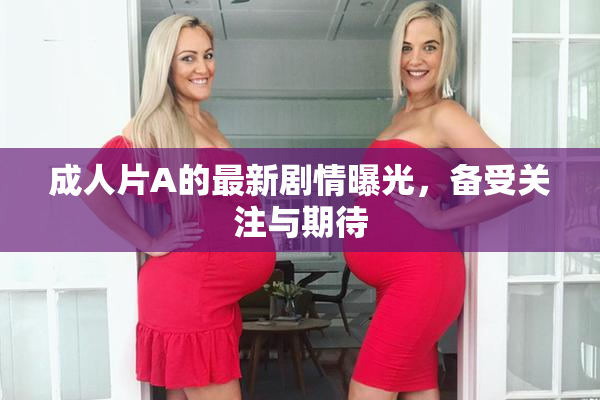 成人片A的最新剧情曝光，备受关注与期待