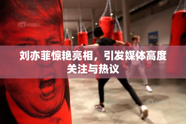 刘亦菲惊艳亮相，引发媒体高度关注与热议