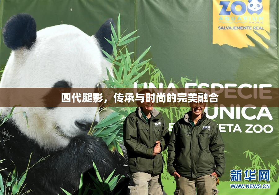 四代腿影，传承与时尚的完美融合