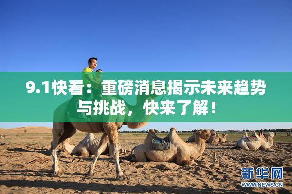 9.1快看：重磅消息揭示未来趋势与挑战，快来了解！