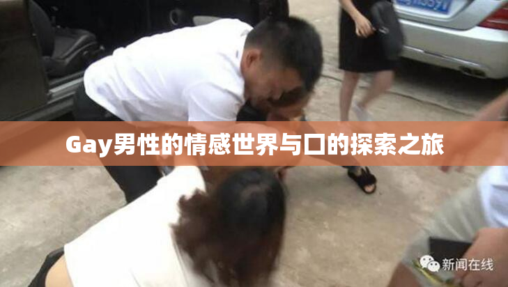 Gay男性的情感世界与囗的探索之旅