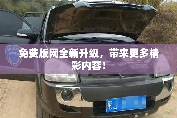 免费版网全新升级，带来更多精彩内容！