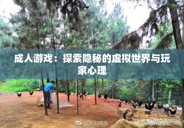 成人游戏：探索隐秘的虚拟世界与玩家心理