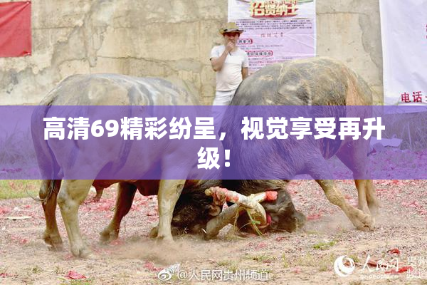 高清69精彩纷呈，视觉享受再升级！