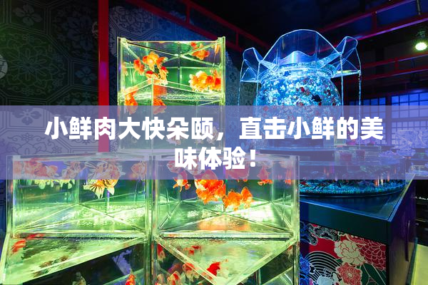 小鲜肉大快朵颐，直击小鲜的美味体验！