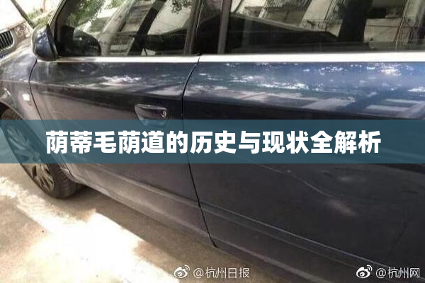 荫蒂毛荫道的历史与现状全解析