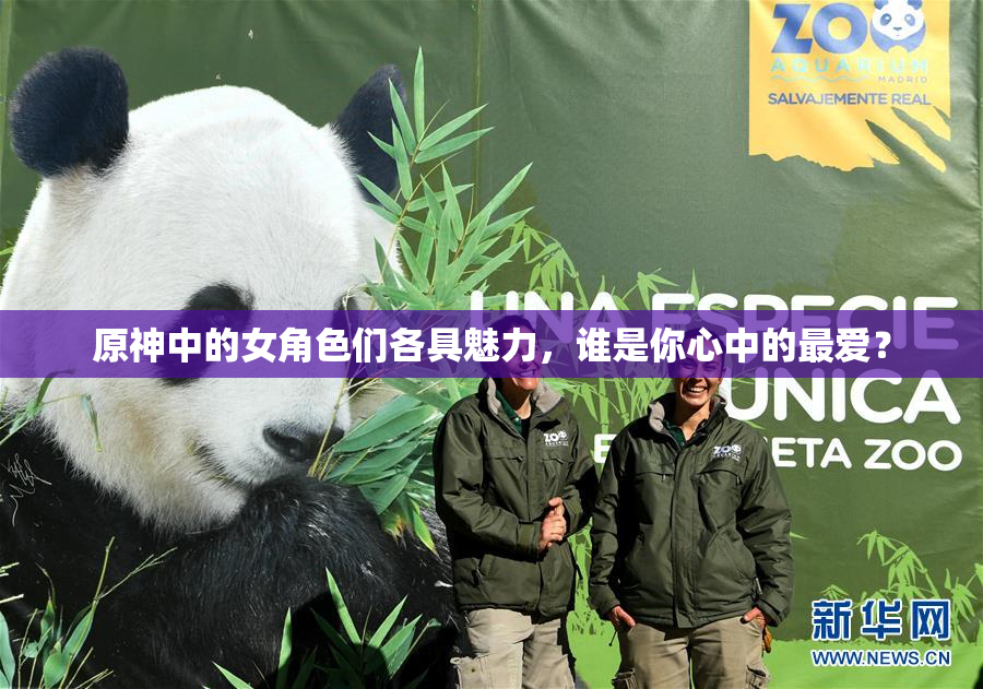 原神中的女角色们各具魅力，谁是你心中的最爱？