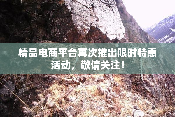 精品电商平台再次推出限时特惠活动，敬请关注！