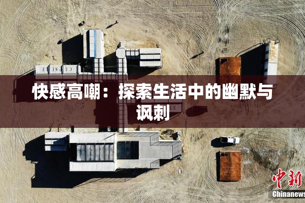 快感高嘲：探索生活中的幽默与讽刺