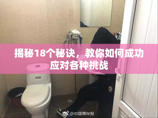 揭秘18个秘诀，教你如何成功应对各种挑战