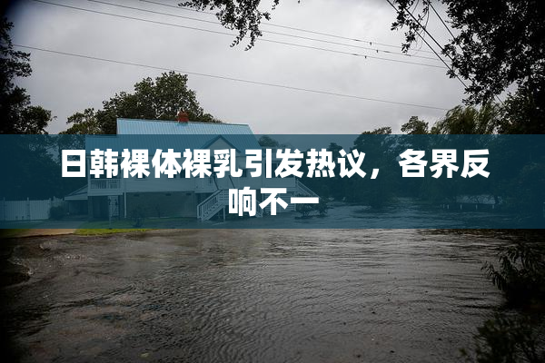 日韩裸体裸乳引发热议，各界反响不一
