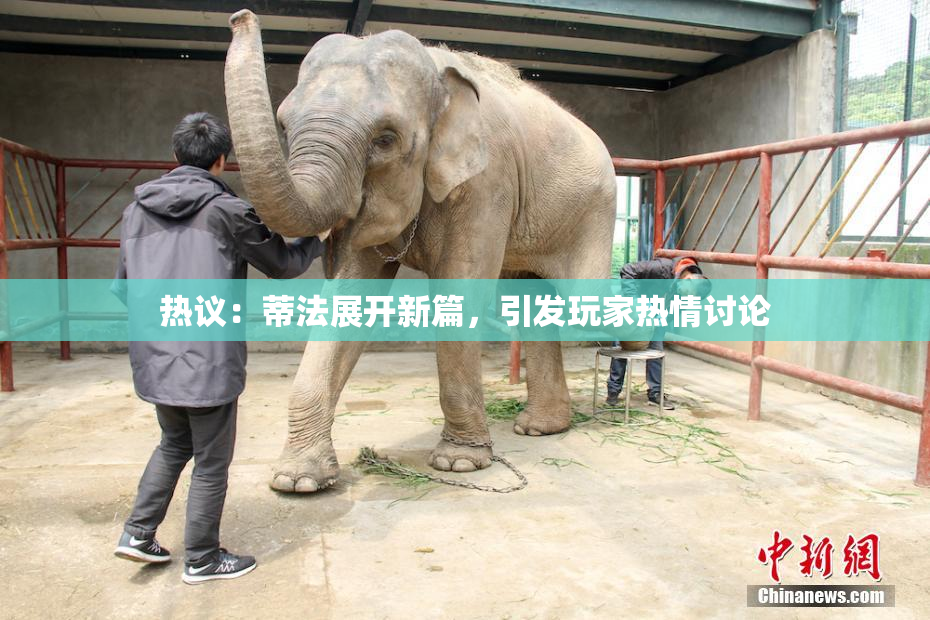 热议：蒂法展开新篇，引发玩家热情讨论