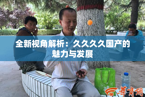 全新视角解析：久久久久国产的魅力与发展