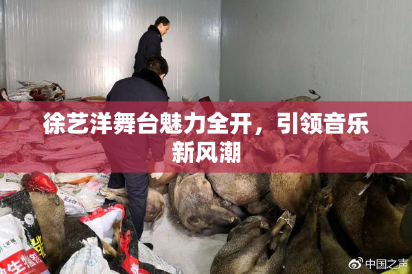 徐艺洋舞台魅力全开，引领音乐新风潮