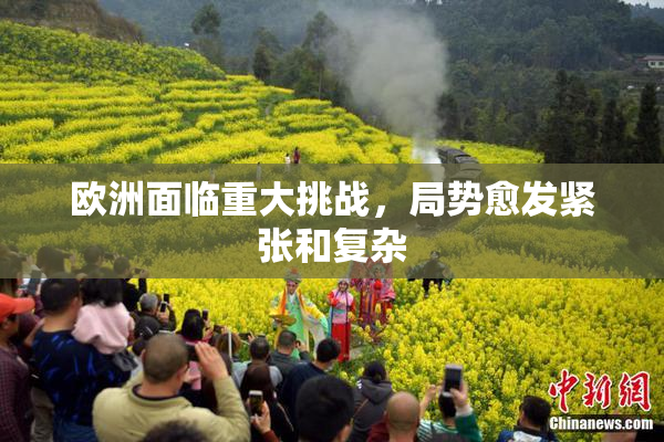 欧洲面临重大挑战，局势愈发紧张和复杂