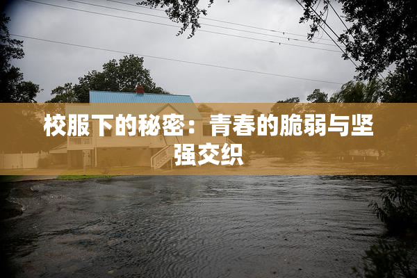 校服下的秘密：青春的脆弱与坚强交织