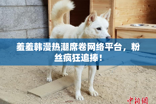 羞羞韩漫热潮席卷网络平台，粉丝疯狂追捧！