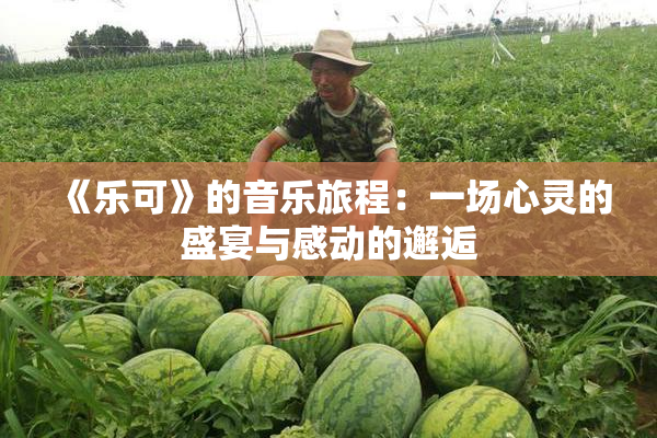 《乐可》的音乐旅程：一场心灵的盛宴与感动的邂逅