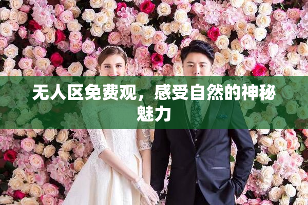 无人区免费观，感受自然的神秘魅力