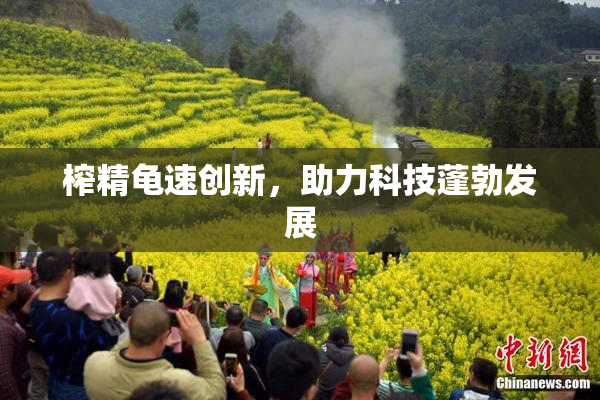 榨精龟速创新，助力科技蓬勃发展