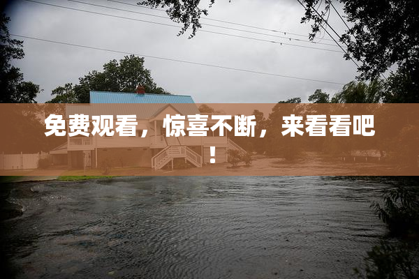 免费观看，惊喜不断，来看看吧！