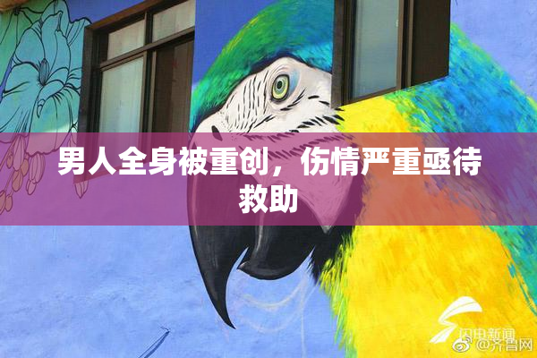 男人全身被重创，伤情严重亟待救助