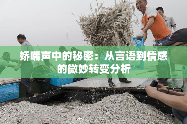 娇喘声中的秘密：从言语到情感的微妙转变分析