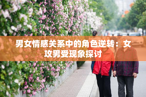 男女情感关系中的角色逆转：女攻男受现象探讨