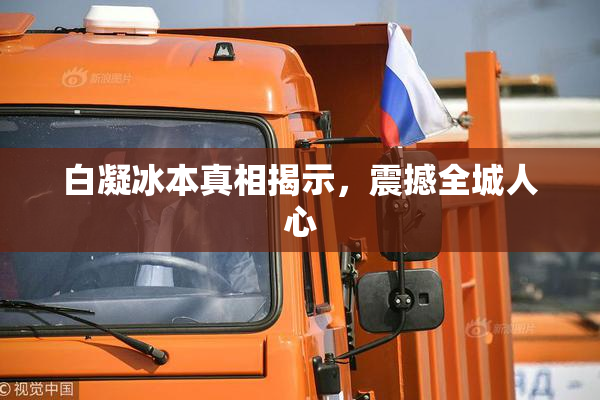 白凝冰本真相揭示，震撼全城人心