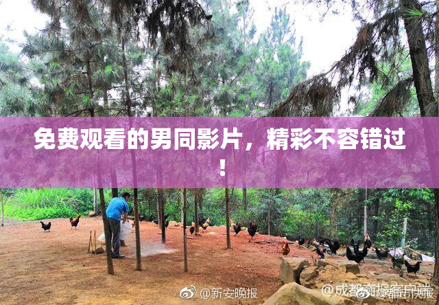 免费观看的男同影片，精彩不容错过！