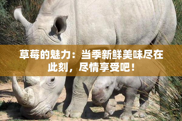 草莓的魅力：当季新鲜美味尽在此刻，尽情享受吧！