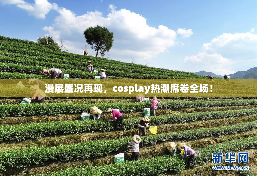 漫展盛况再现，cosplay热潮席卷全场！