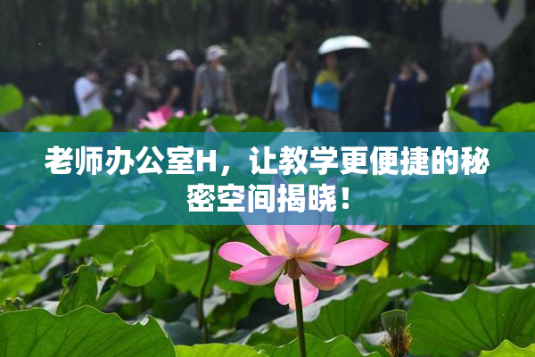 老师办公室H，让教学更便捷的秘密空间揭晓！